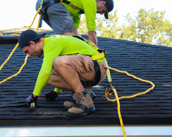 Two roofers in safety harnesses installing shingles